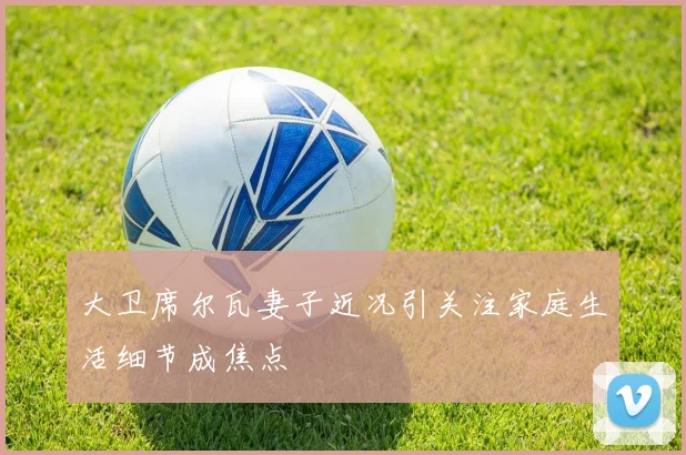 大卫席尔瓦妻子近况引关注家庭生活细节成焦点