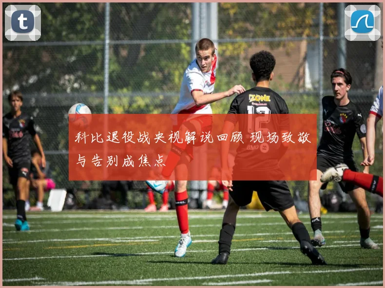 科比退役战央视解说回顾 现场致敬与告别成焦点