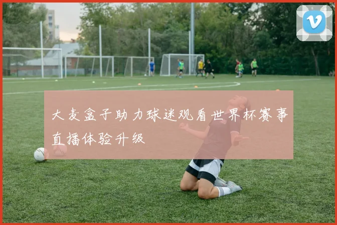 大麦盒子助力球迷观看世界杯赛事直播体验升级