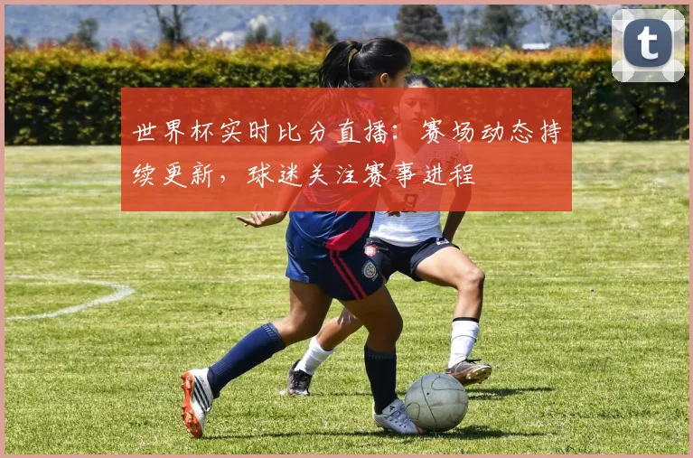 世界杯实时比分直播:赛场动态持续更新,球迷关注赛事进程
